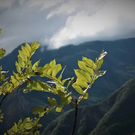 Terres Clot Du Jay * Clamensane